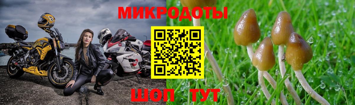 Галлюциногенные грибы Psilocybe  Вход с VPN  Воркута  Галлюциногенные грибы мицелий 